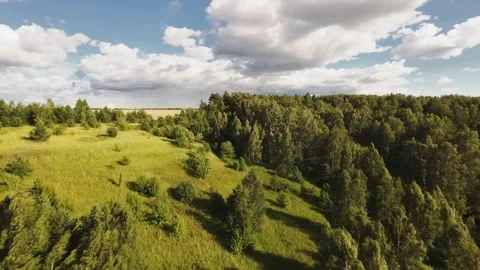 Fast flight low above the ground. View of fields and trees. No one around, sunny Stock Footage 280384189