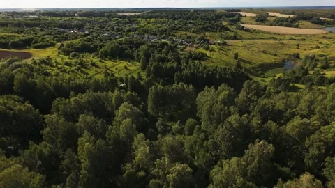 Fast flight low above the ground. View of fields and trees. No one around, sunny Stock Footage 280384193