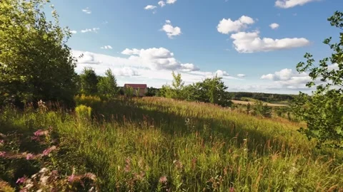 Fast flight low above the ground. View of fields and trees. No one around, sunny Stock Footage 280384203