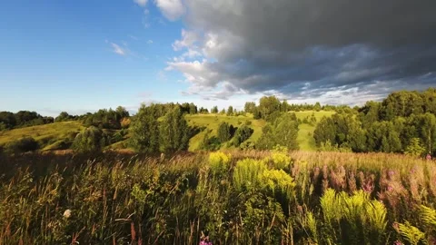 Fast flight low above the ground. View of fields and trees. No one around, sunny Stock Footage 280384204