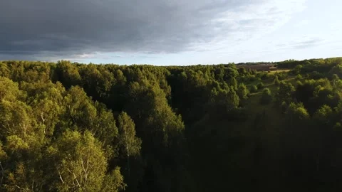 Fast flight low above the ground. View of fields and trees. No one around, sunny Stock Footage 280384257