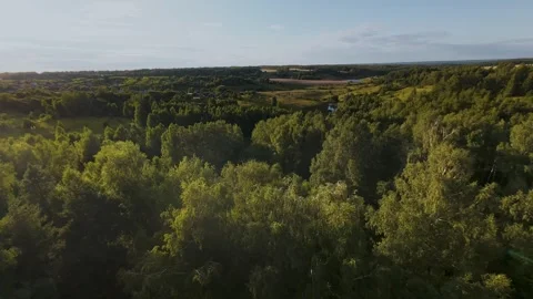 Fast flight low above the ground. View of fields and trees. No one around, sunny Stock Footage 280384314