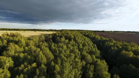 Fast flight low above the ground. View of fields and trees. No one around, sunny Stock Footage 280384384