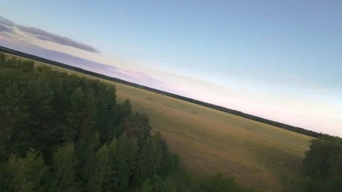 Fast flight low above the ground. View of fields and trees. No one around, sunny Stock Footage 280384422