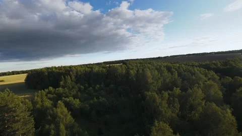 Fast flight low above the ground. View of fields and trees. No one around, sunny Stock Footage 280384424