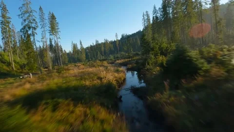Fast flight over an autumn mountain landscape, stream, trees at sunrise Stock Footage 218978591