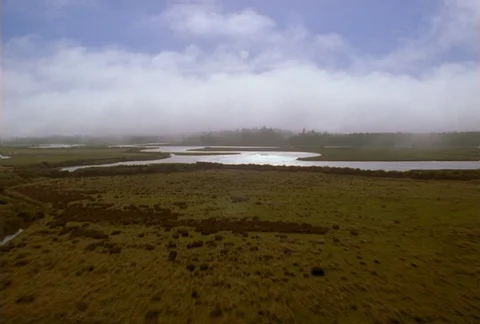 Fast flight over misty slough Stock Footage 86884639