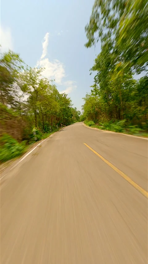 Fast flight over the road in the middle of a summer forest. Stock Footage 251447014