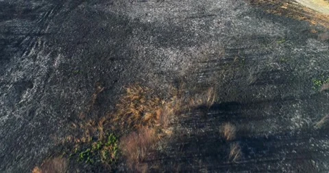 A fast flight over the texture of a burnt and ashen field, Abstract Backgroun Video stock 317077123
