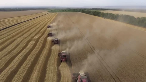 Fast flight over the wheat field. The harvesters gather the grain. Horizon Stock Footage 86540084
