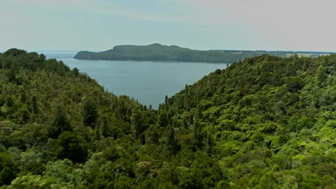 Fast flight through the trees with a large lake Stock Footage 159033012