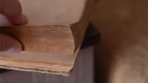 Fast flipping of an old book close-up in slow motion Stock Footage 155499229
