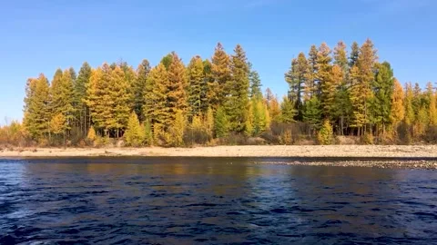 Fast flow. Chulman river in autumn in Neryungri (South Yakutia, Russia) 스톡 동영상 222720771