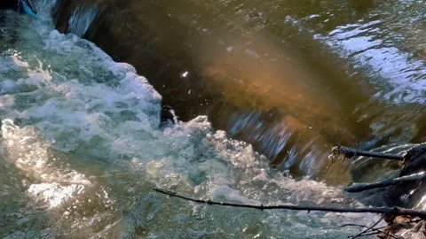 A fast flow of a clean mountain river in which sunlight is reflected. Stock Footage 247541741