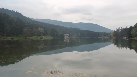 Fast flow of lake and clouds in the forest Stock Footage 108515114