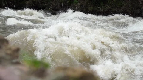 Fast Flow of the Mountain River After the Rain Stock Footage 50639788