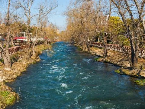 Fast flow of a mountain river Stock Photos