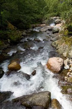Fast flow of mountain river in summer. Foto stock