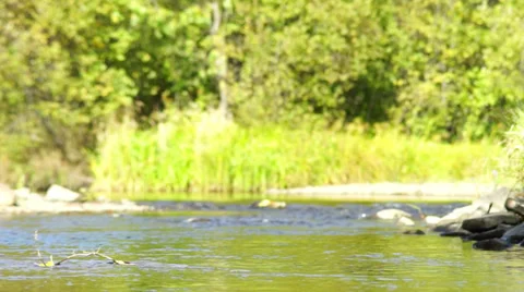 Fast flow of river at summer day Video stock 32739890