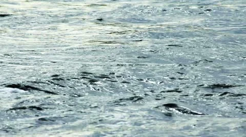 Fast flow of river water Vidéo 11237875