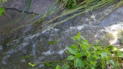 A fast flow of water in a ditch Stock Footage 334940062