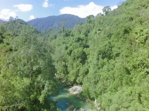 The Fast Flow Of Water On Large Stones Between Trees. Aerial Shoot. Vietnam. Stock Footage 81335233