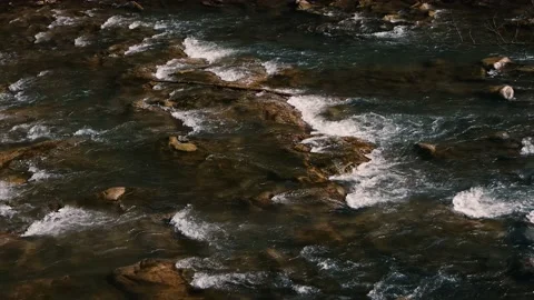 Fast flow of water on a mountain river. Beautiful mountain river. Vidéo 208659491