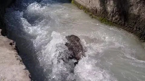 Fast flow of water from a mountain river through a concrete channel Stock Footage 335203660