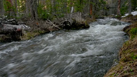 Fast flowing creek spring runoff Colorado Stock Footage 155470907