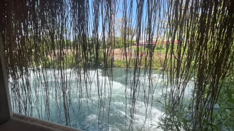 Fast Flowing Duden River Seen Through Hanging Roots in Antalya Turkey Stock Footage 344037920