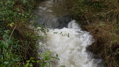 A fast flowing flooded stream 動画素材 126714383