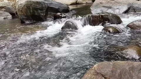 Fast Flowing Forest River Stream Over Rocks - Full HD Nature Landscape Video stock 329086231