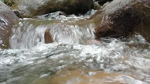 Fast Flowing Forest Stream Over Rocks – Clear Natural Water Motion Stock Footage 330561091