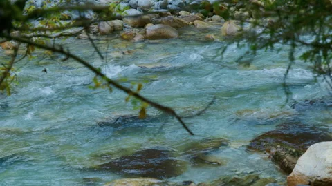 Fast-Flowing Mountain River Among White Stones Seen Through Forest Branches Stock Footage 320210832