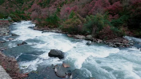 Fast flowing mountain river with colorful autumn foliage on the banks Stock Footage 341999461