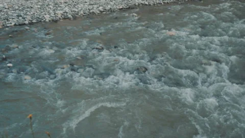 Fast-flowing mountain river Stock Footage 95240649