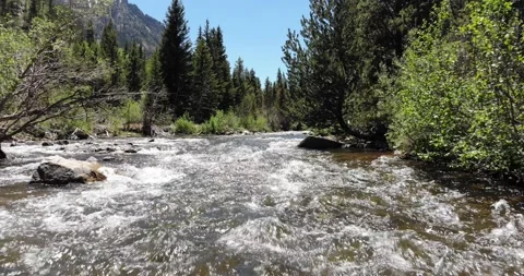 Fast Flowing Mountain River Stock Footage 155993362