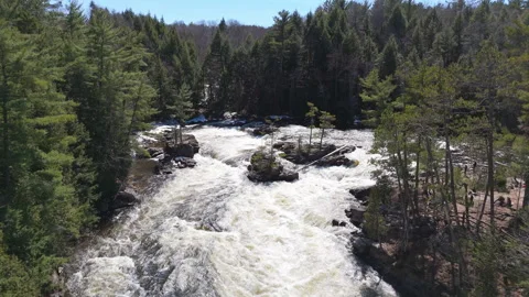 Fast-Flowing Mountain River in Forest – 4K Aerial Nature Footage Stock Footage 307461954