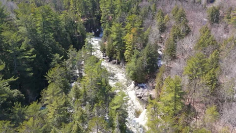 Fast-Flowing Mountain River in Forest – 4K Aerial Nature Footage Stock Footage 307462447