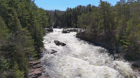 Fast-Flowing Mountain River in Forest – 4K Aerial Nature Footage Stock Footage 307464694