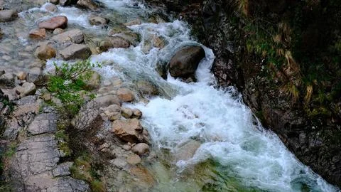 A fast-flowing mountain river or stream cascades over rocks. Clean, white wat Stock Photos