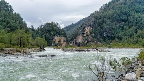 Fast flowing mountain river rapids with rocky banks and lush green pine fores Stock Photos