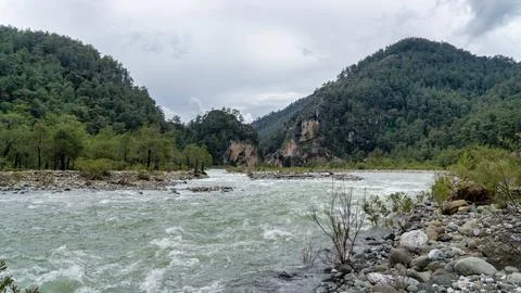 Fast flowing mountain river rapids with rocky banks and lush green pine fores Stock Photos
