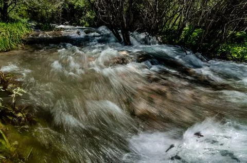 Fast flowing mountain river rapids through lush vegetation Kyrgyzstan Stock Photos