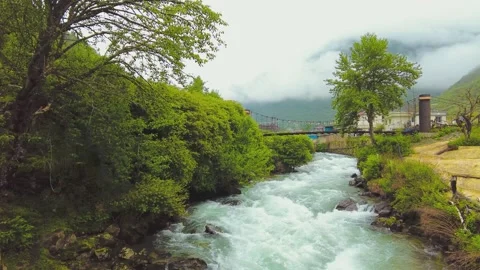 Fast flowing mountain river with suspension bridge in lush green forest Video stock 342024421