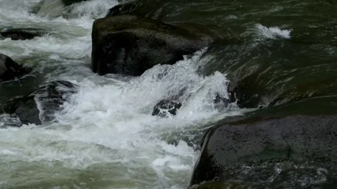 Fast flowing mountain river water Stock Footage 297715796
