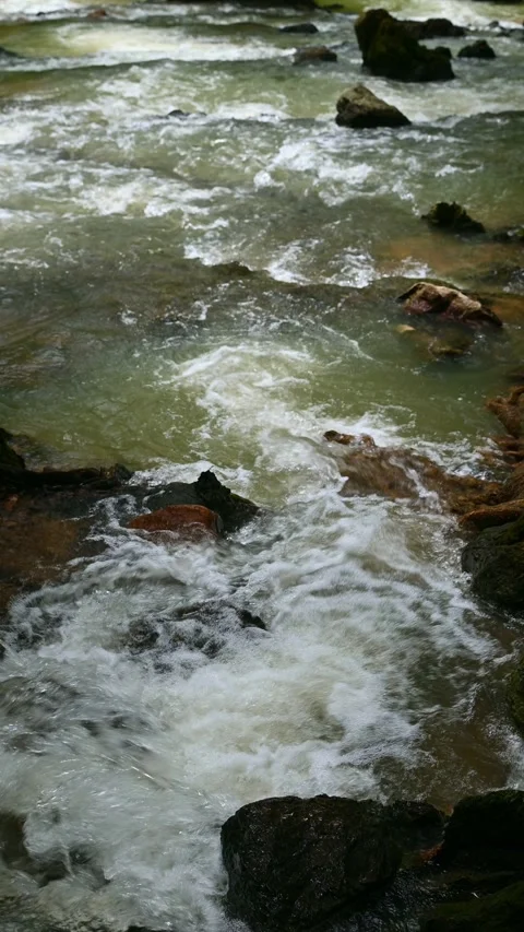 Fast flowing mountain river with white water rapids over rocks. Stock Footage 338379132