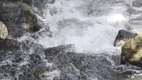 Fast flowing mountain stream cascading over dark rocks Vidéo 346532161