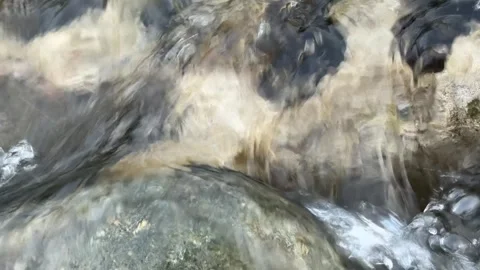 Fast Flowing Mountain Stream in Dachigam National Park, Kashmir Stock Footage 338040429
