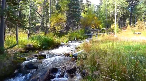 Fast Flowing Mountain Stream Video stock 43009196